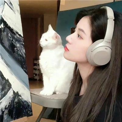 寻欢觅爱